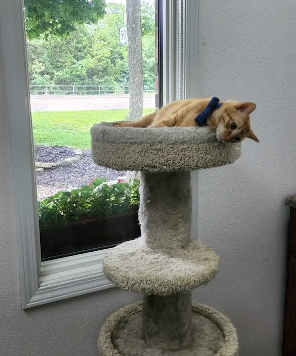 Woodland Animal Hospital Picture 6