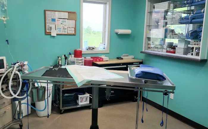 Woodland Animal Hospital Picture 8