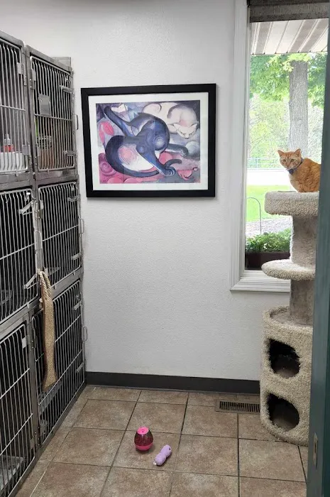 Woodland Animal Hospital Picture 7