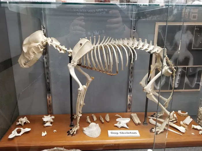 Missouri Veterinary Medical Assn. Picture 4