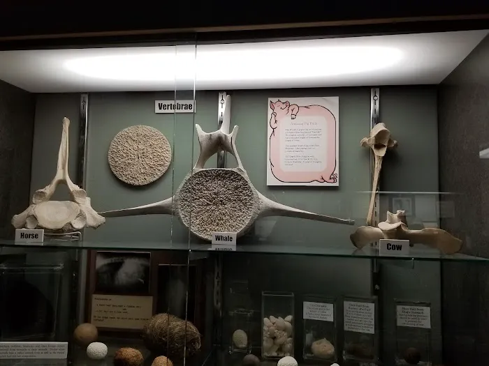 Missouri Veterinary Medical Assn. Picture 6