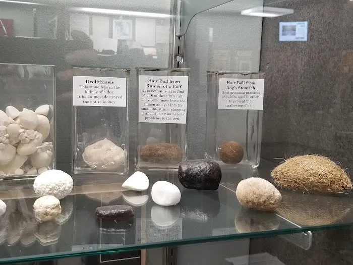 Missouri Veterinary Medical Assn. Picture 8