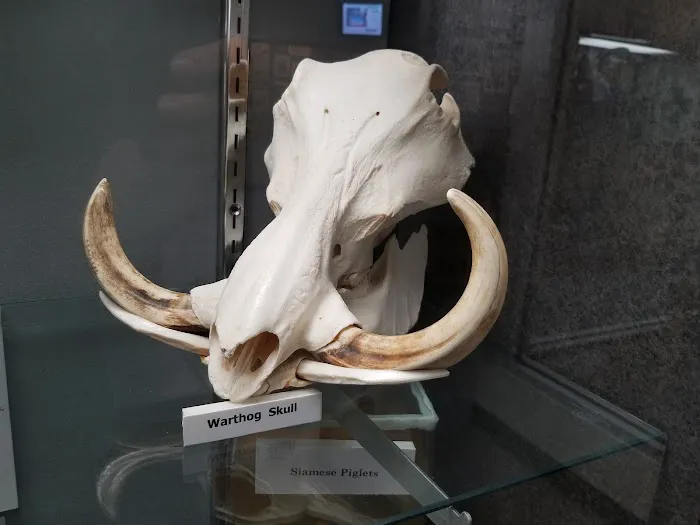 Missouri Veterinary Medical Assn. Picture 5