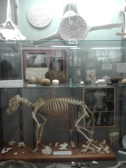 Missouri Veterinary Medical Assn. Picture 9