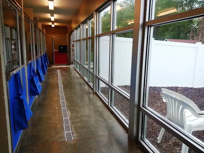 Southwest Animal Hospital Picture 2