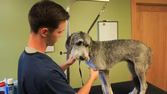 Southwest Animal Hospital Picture 8