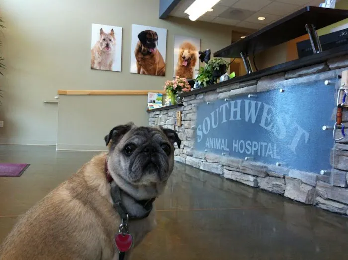 Southwest Animal Hospital Picture 6