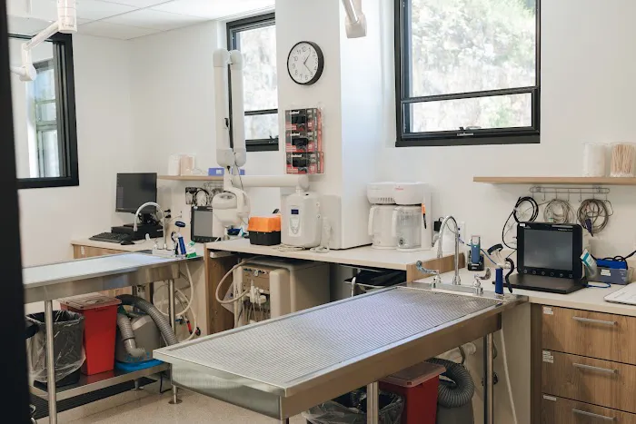 Jefferson City Animal Hospital Picture 1