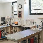 Jefferson City Animal Hospital