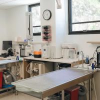 Jefferson City Animal Hospital ico