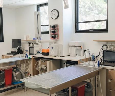 Jefferson City Animal Hospital