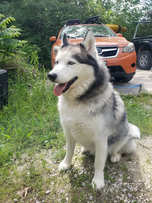 Jefferson City Animal Hospital Picture 5