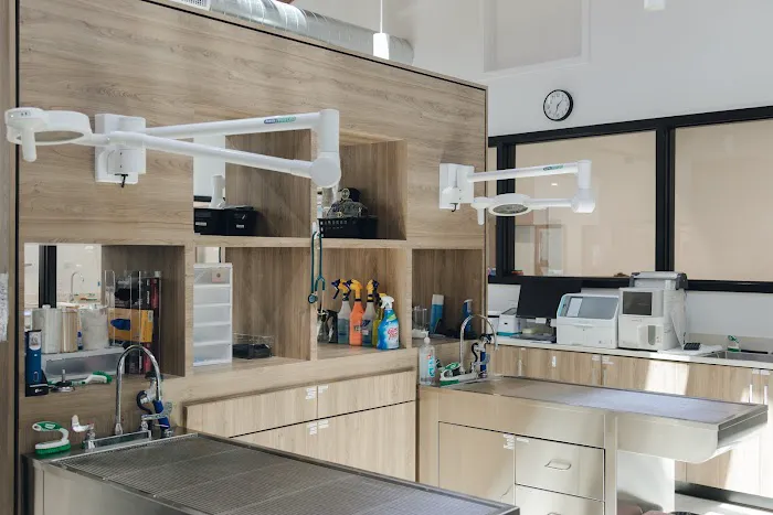 Jefferson City Animal Hospital Picture 8