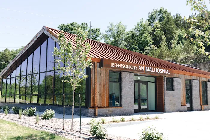 Jefferson City Animal Hospital Picture 9