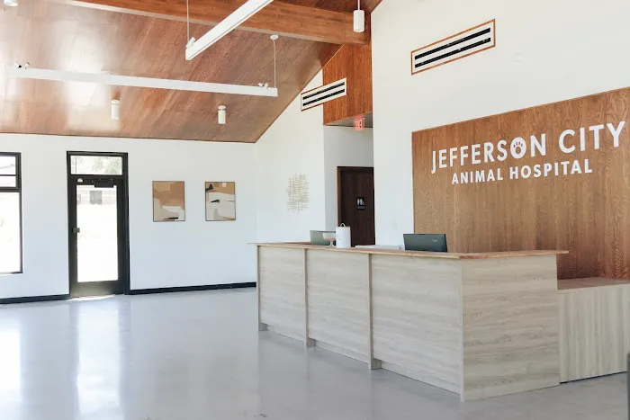 Jefferson City Animal Hospital Picture 7