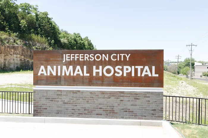 Jefferson City Animal Hospital Picture 6