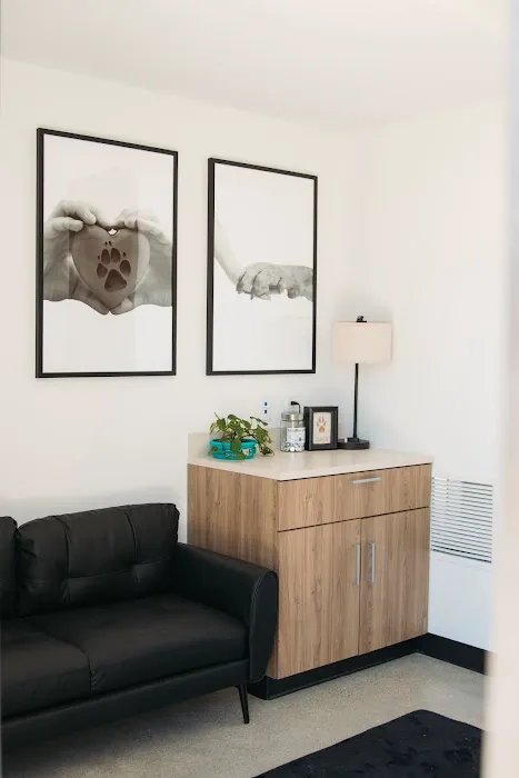 Jefferson City Animal Hospital Picture 10