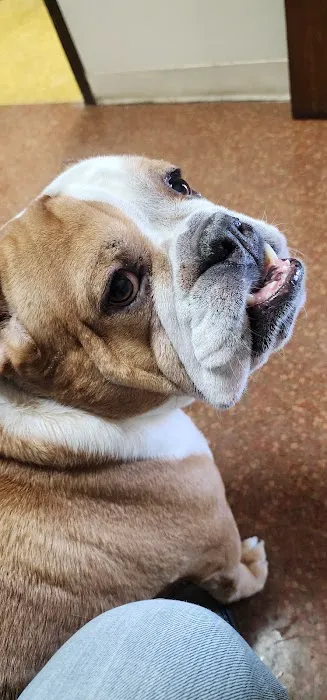 Capital City Animal Hospital Picture 1