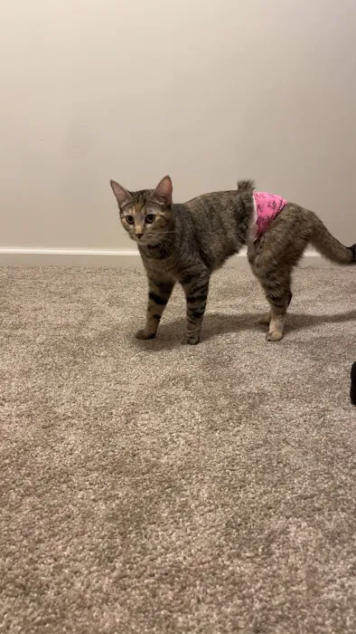 Capital City Animal Hospital Picture 4