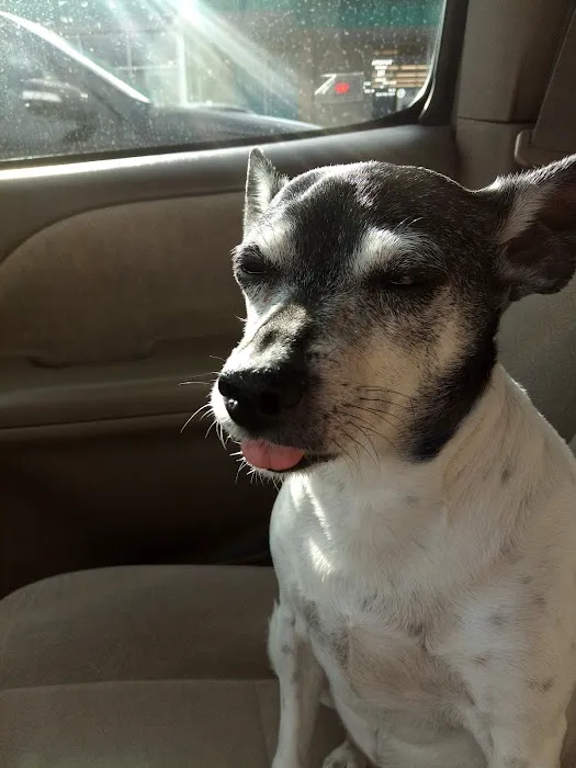 Capital City Animal Hospital Picture 5