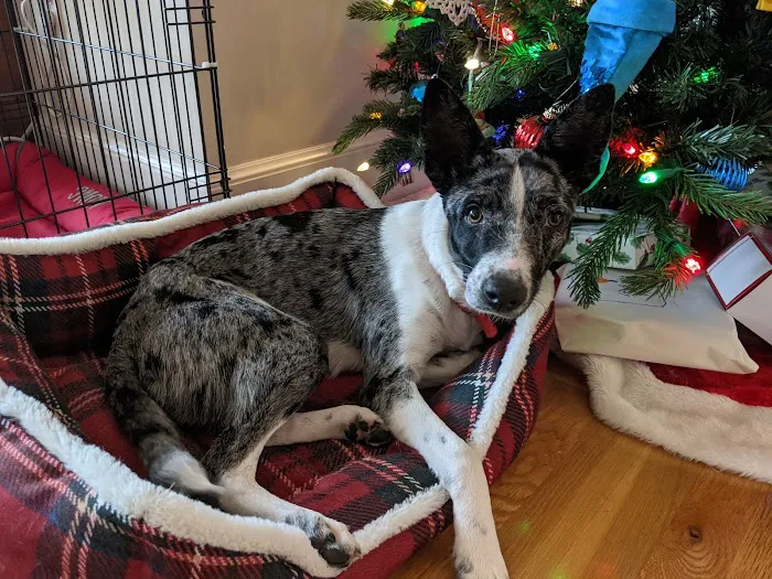 Weathered Rock Vet Clinic Picture 1