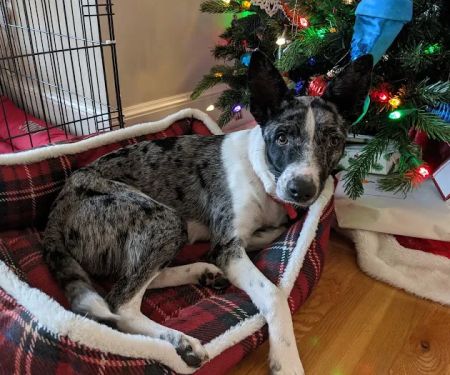 Weathered Rock Vet Clinic