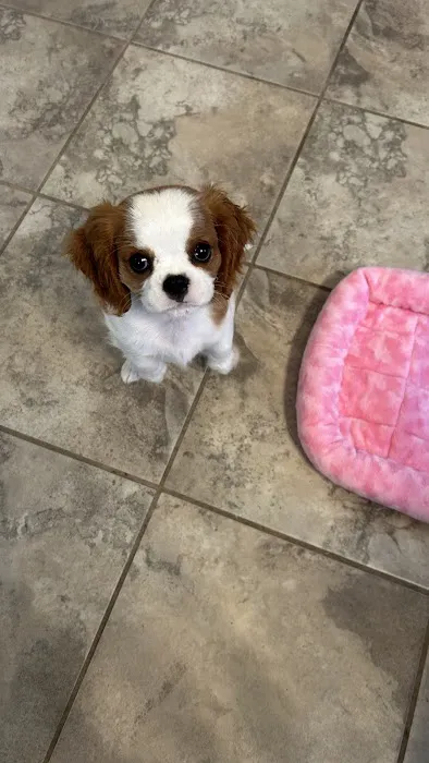 Weathered Rock Vet Clinic Picture 3