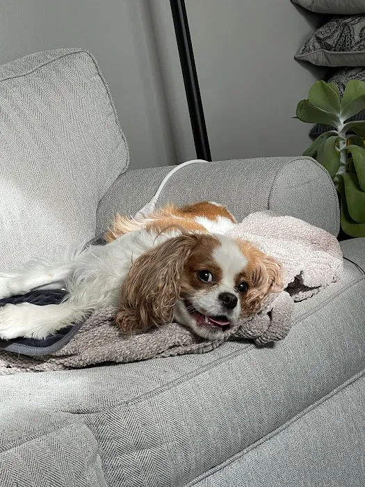 Weathered Rock Vet Clinic Picture 2