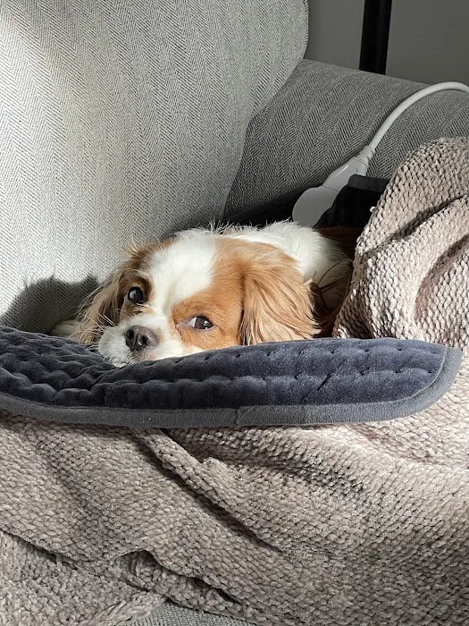 Weathered Rock Vet Clinic Picture 5