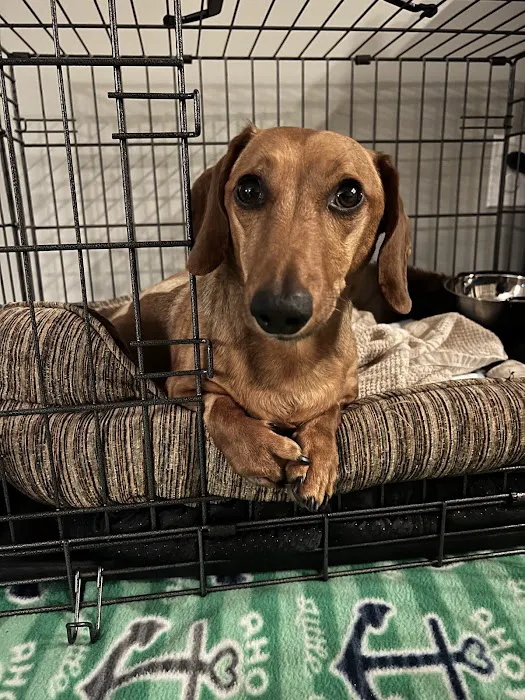 Weathered Rock Vet Clinic Picture 4