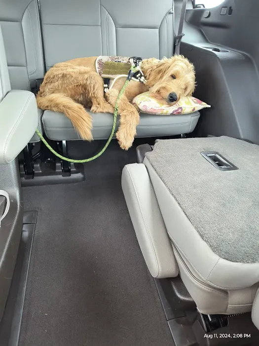 Weathered Rock Vet Clinic Picture 9