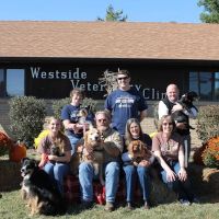 Westside Veterinary Clinic ico