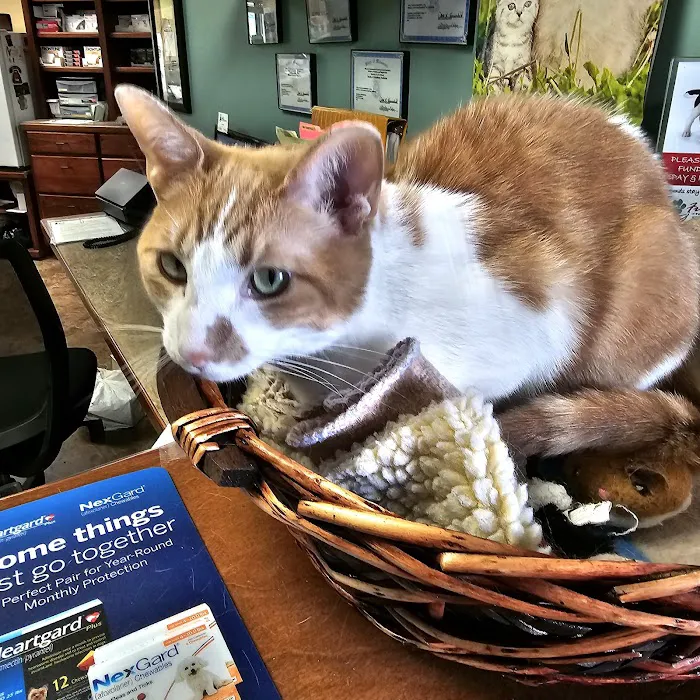 Westside Veterinary Clinic Picture 4