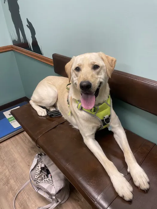 Westside Veterinary Clinic Picture 2