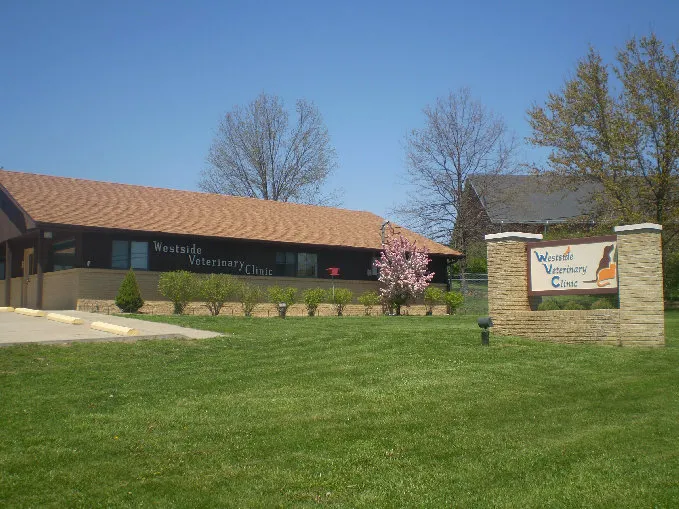 Westside Veterinary Clinic Picture 6