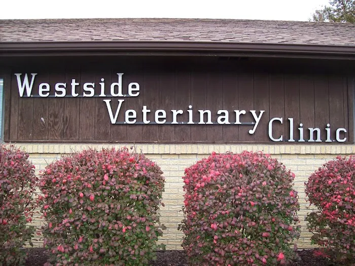 Westside Veterinary Clinic Picture 8