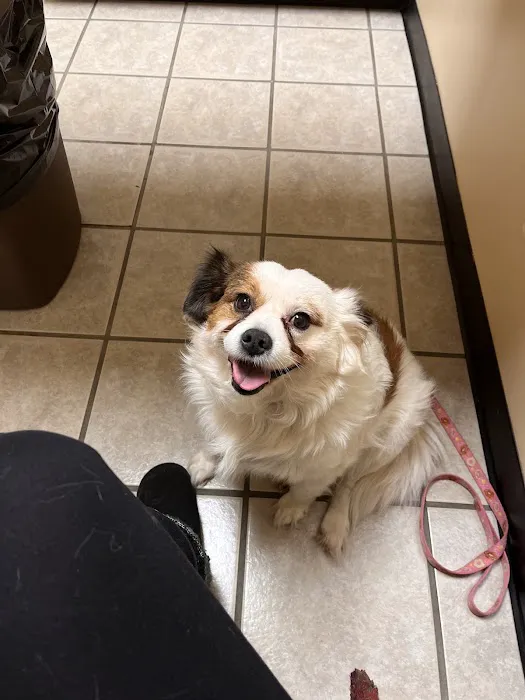 Parsonson Robert DVM Picture 2