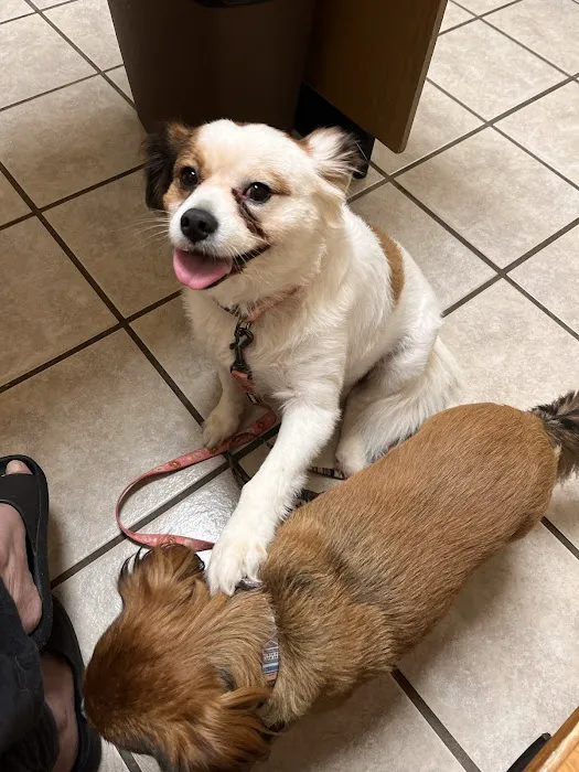 Parsonson Robert DVM Picture 1