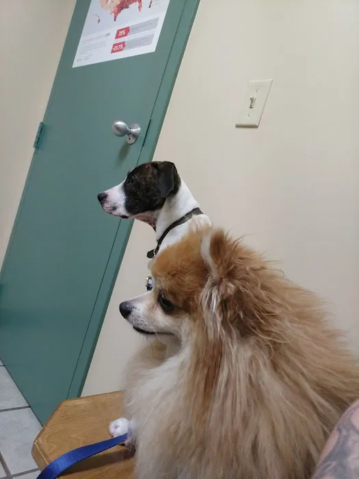 Parsonson Robert DVM Picture 3