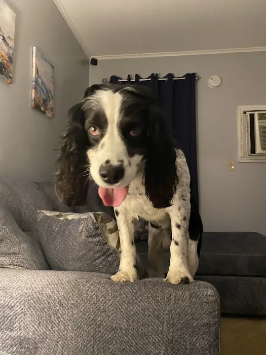 Animal Care Hospital Picture 1