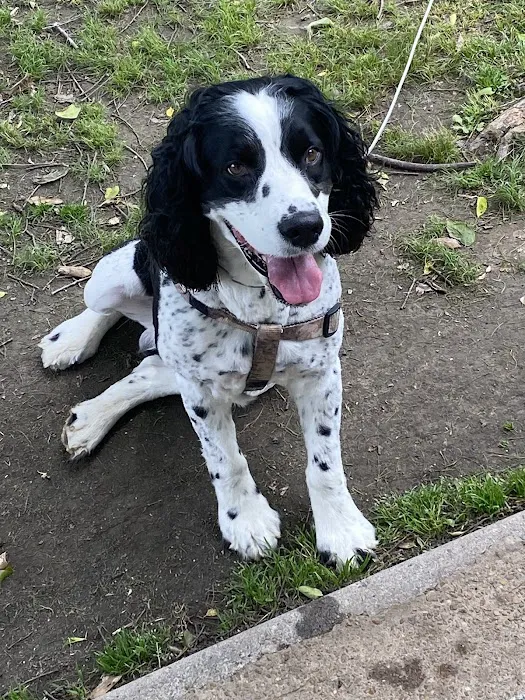 Animal Care Hospital Picture 2