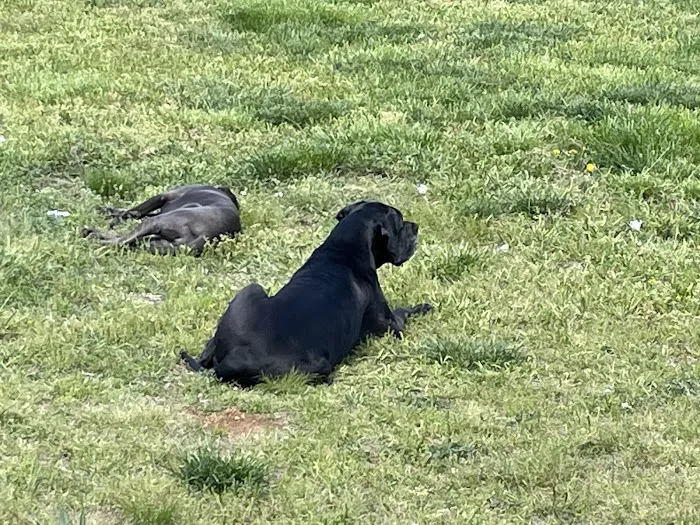 Animal Care Hospital Picture 6