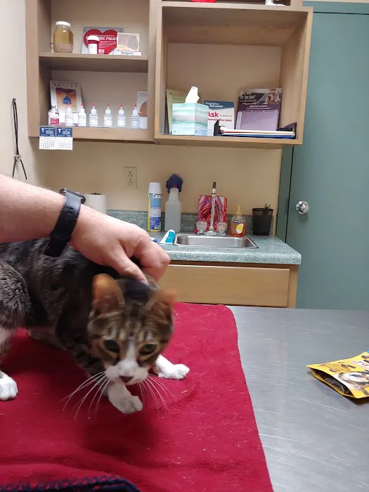 Animal Care Hospital Picture 10