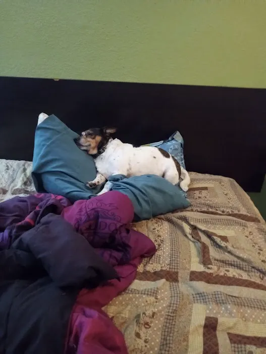 Animal Care Hospital Picture 9