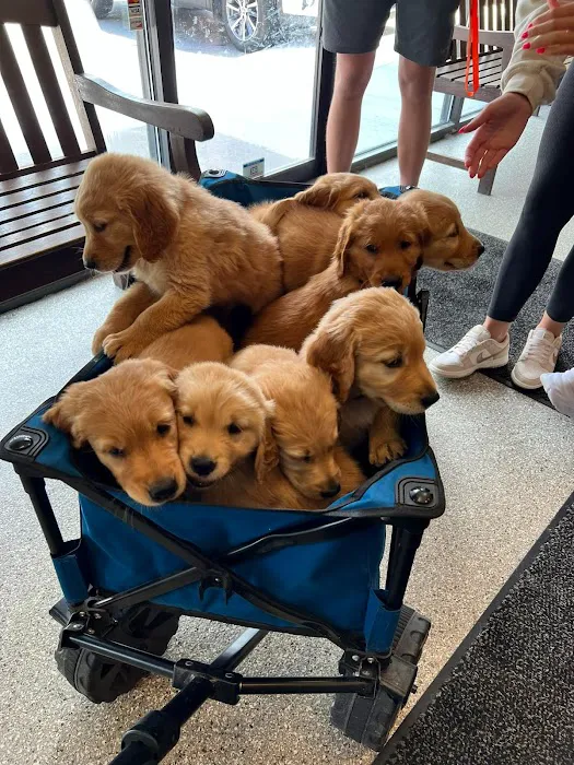 Morgan Pet Clinic Picture 2