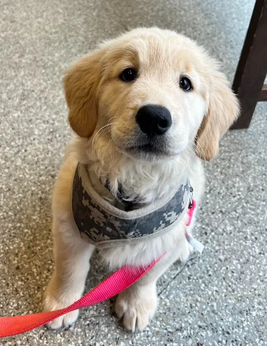 Morgan Pet Clinic Picture 6