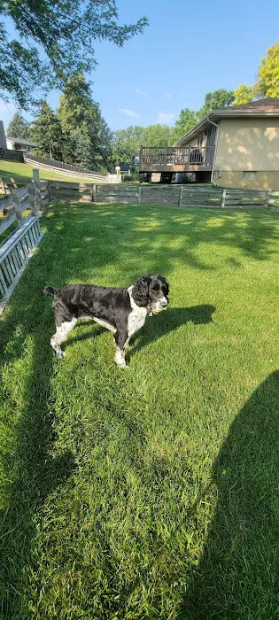 Morgan Pet Clinic Picture 4