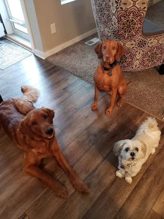 Chalco Hills Animal Hospital Picture 1