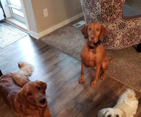 Chalco Hills Animal Hospital