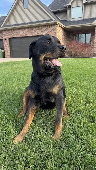 Chalco Hills Animal Hospital Picture 4